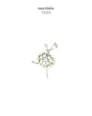 Broche "Eden's Mark"